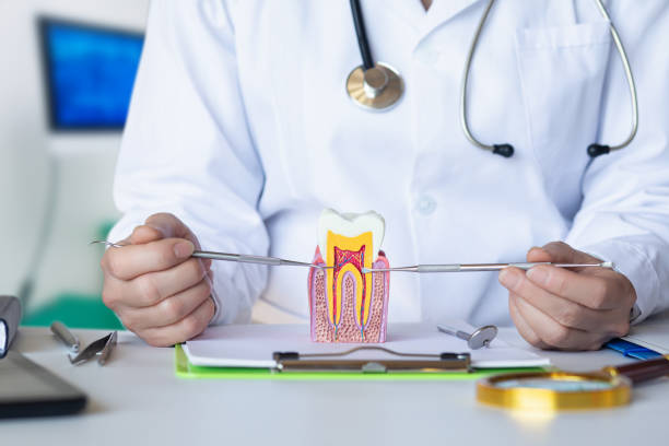Best Walk-In Emergency Dental Services in Alexandria, VA
